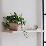 Lindo Apartamento Totalmente Reformado Em Ipanema